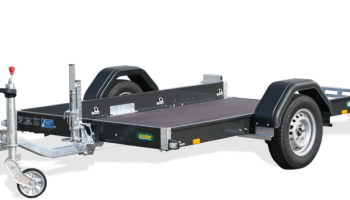 Modell mit Face Lifting